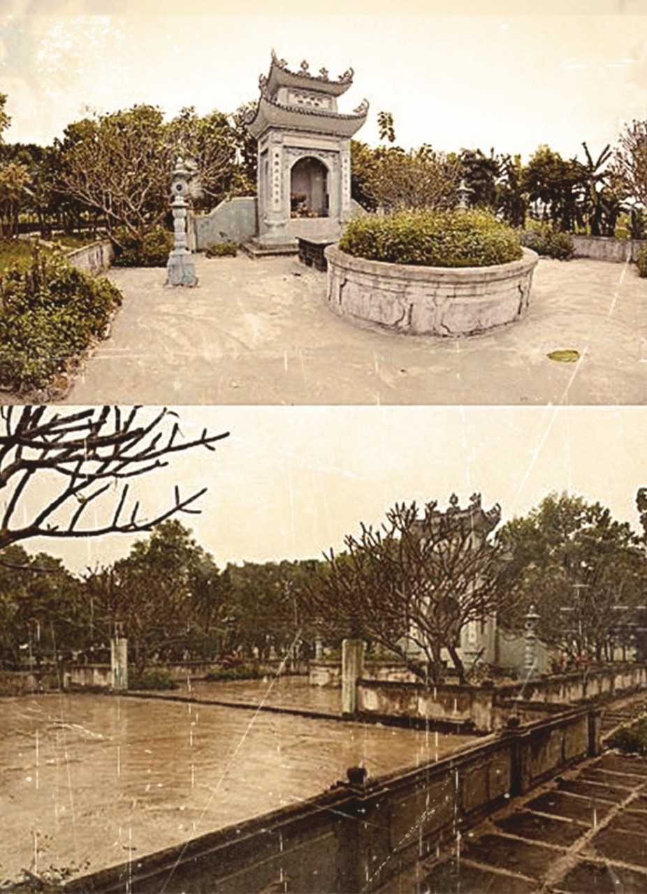 Hoạt động cộng đồng